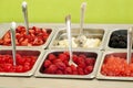 Ã¢â¬Å½Frozen Yogurt Toppings Royalty Free Stock Photo